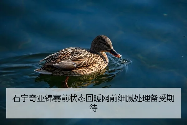 石宇奇亚锦赛前状态回暖网前细腻处理备受期待